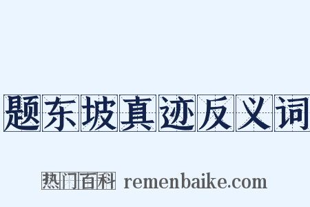 题东坡真迹反义词是什么意思的图片